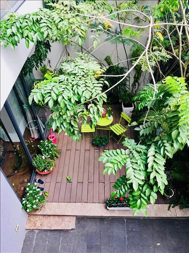 hẹn hò - Tuấn Trần-Nam -Tuổi:43 - Ly dị-TP Hồ Chí Minh-Tìm bạn tâm sự