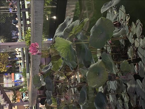 GẠch …! Đang Sạc 9%!