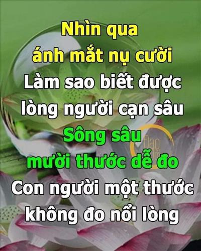 hẹn hò - Cánh chim rừng -Nam -Tuổi:40 - Độc thân-TP Hồ Chí Minh-Tìm bạn tâm sự