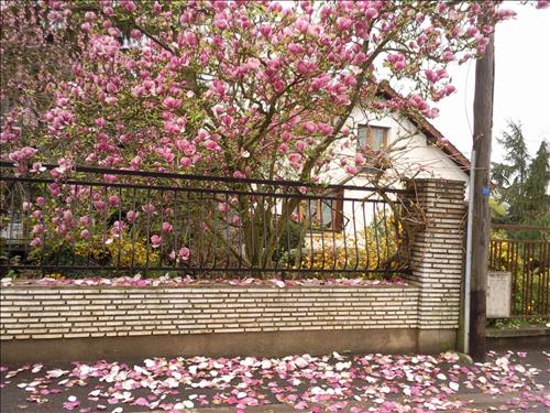 hẹn hò - Hoàng Vũ-Nam -Tuổi:39 - Độc thân-TP Hồ Chí Minh-Người yêu lâu dài