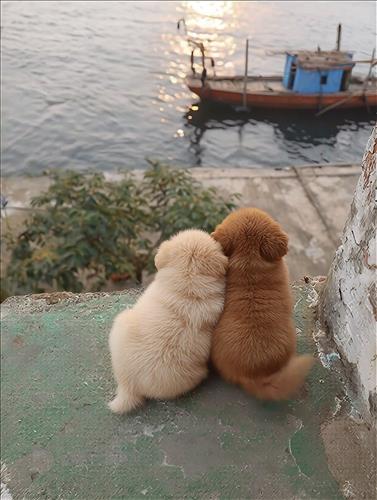 hẹn hò - tú xương-Nam -Tuổi:41 - Độc thân-TP Hồ Chí Minh-Người yêu lâu dài