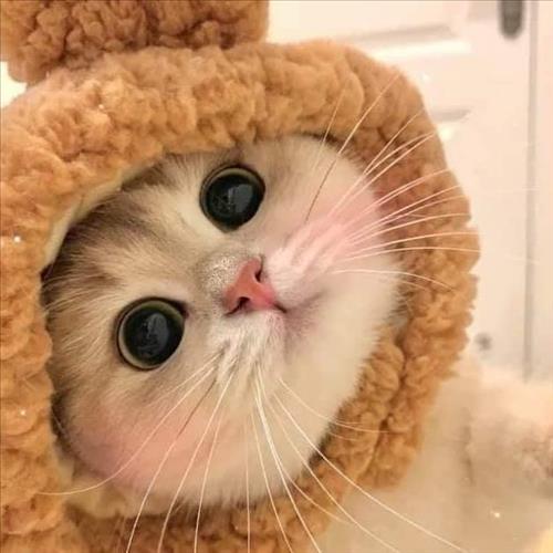 hẹn hò - Trai cô đơn -Nam -Tuổi:36 - Độc thân-TP Hồ Chí Minh-Người yêu ngắn hạn