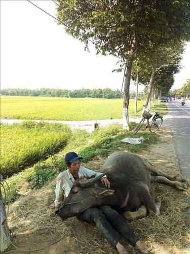 hẹn hò - Nguyễn-Nam -Tuổi:49 - Đã có gia đình-TP Hồ Chí Minh-Tìm bạn tâm sự