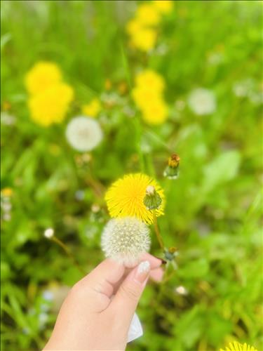 hẹn hò - N.T.E.M-Nữ -Tuổi:33 - Độc thân-Hà Nội-Tìm bạn bè mới