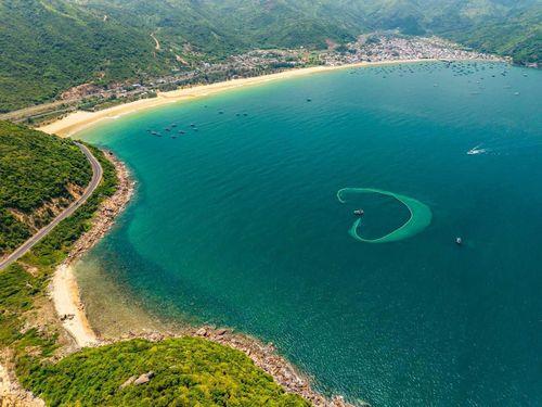 Tứng