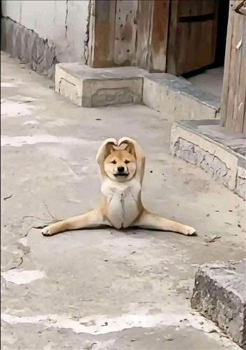 hẹn hò - Quang Anh-Male -Age:31 - Single-Hà Nội-Lover - Best dating website, dating with vietnamese person, finding girlfriend, boyfriend.