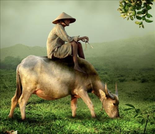 hẹn hò - Yên hưng-Male -Age:54 - Married-Hà Nội-Confidential Friend - Best dating website, dating with vietnamese person, finding girlfriend, boyfriend.