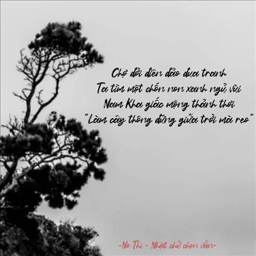 hẹn hò - Tiêu Phong-Nam -Tuổi:43 - Độc thân-Đồng Nai-Người yêu lâu dài