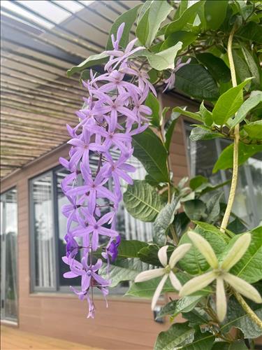 hẹn hò - Trần Mạnh Đạt-Nam -Tuổi:49 - Độc thân-Thái Nguyên-Tìm bạn tâm sự