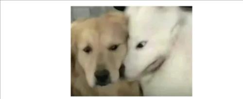 hẹn hò - Long Nguyễn-Nam -Tuổi:27 - Độc thân-Hà Nội-Tìm bạn tâm sự