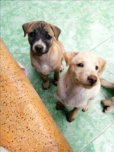 hẹn hò - Nửa Là Thương Đau -Nam -Tuổi:39 - Độc thân-TP Hồ Chí Minh-Tìm bạn bè mới
