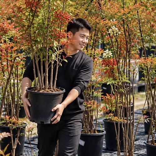 hẹn hò - Trung Niên Dzam 17cm-Nam -Tuổi:43 - Đã có gia đình-Đồng Nai-Người yêu ngắn hạn