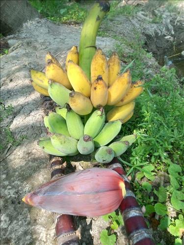 hẹn hò - Phúc Hồ -Gay -Tuổi:36 - Độc thân-TP Hồ Chí Minh-Tìm bạn bè mới