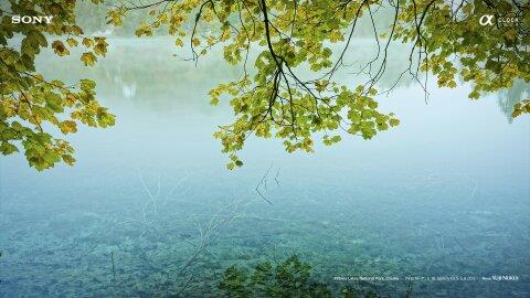 hẹn hò - Gấu mèo -Nam -Tuổi:41 - Độc thân-Hoà Bình-Người yêu lâu dài