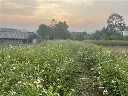 hẹn hò - Bình-Nam -Tuổi:30 - Độc thân-Bình Dương-Tìm bạn tâm sự