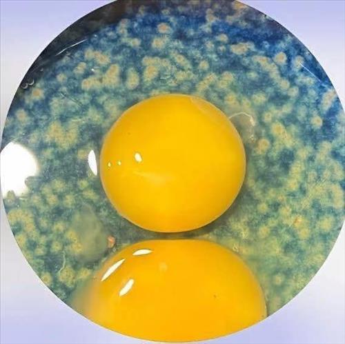 hẹn hò - binhsushijp-Nam -Tuổi:37 - Ly dị-Hải Phòng-Tìm bạn bè mới