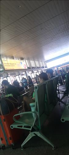 Hoa giấy 