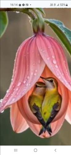 hẹn hò - Văn nguyên Do-Nam -Tuổi:52 - Độc thân-Thái Bình-Người yêu lâu dài