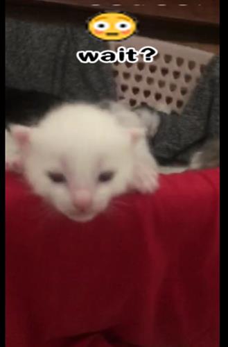 hẹn hò - Nam thái bình-Male -Age:36 - Single-Thái Bình-Lover - Best dating website, dating with vietnamese person, finding girlfriend, boyfriend.