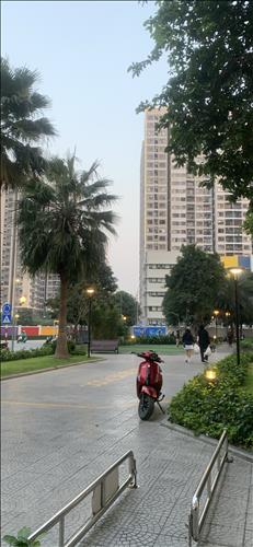 hẹn hò - Minh Quân-Nam -Tuổi:38 - Độc thân-Hà Nội-Người yêu ngắn hạn