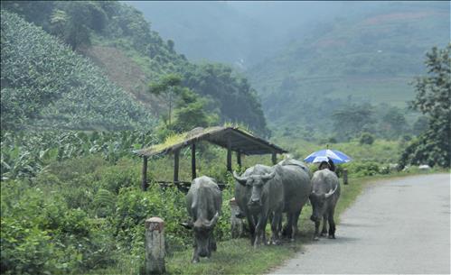 hẹn hò - Toan Thang-Male -Age:45 - Married-Hà Nội-Confidential Friend - Best dating website, dating with vietnamese person, finding girlfriend, boyfriend.