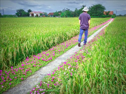 hẹn hò - Việt Khang-Nam -Tuổi:42 - Độc thân-Đồng Nai-Người yêu lâu dài