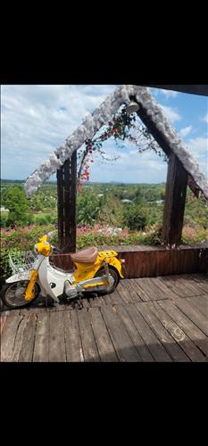 hẹn hò - Ken-Male -Age:39 - Single-TP Hồ Chí Minh-Lover - Best dating website, dating with vietnamese person, finding girlfriend, boyfriend.