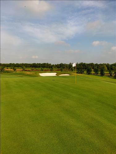 Tinhgolf