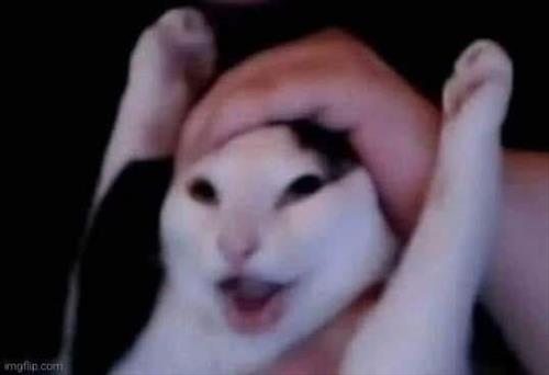 Minh Duck