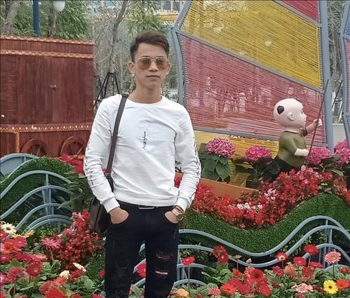 gà rừng info