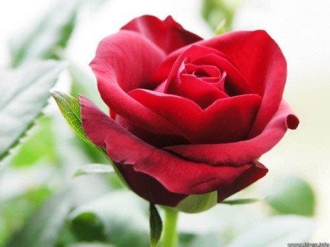 hẹn hò - Dấu yêu -Male -Age:35 - Single--Lover - Best dating website, dating with vietnamese person, finding girlfriend, boyfriend.