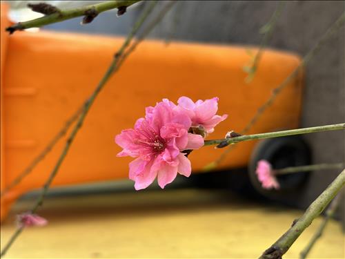 hẹn hò - Steven Nguyen-Male -Age:31 - Married-TP Hồ Chí Minh-Short Term - Best dating website, dating with vietnamese person, finding girlfriend, boyfriend.