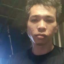 van tùng le