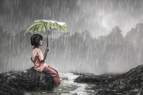 Rainy
