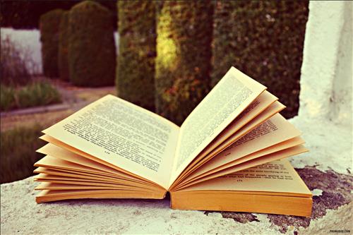 hẹn hò - Mèo lười-Nam -Tuổi:45 - Đã có gia đình-Hà Nội-Tìm bạn bè mới