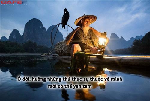 Hoàng Anh