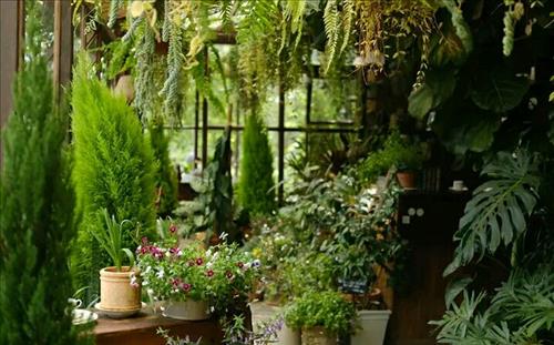 hẹn hò - Mùa hạ -Les -Tuổi:41 - Độc thân-Bình Dương-Tìm bạn bè mới