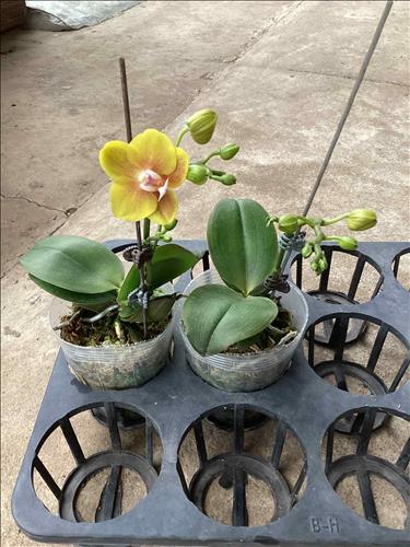 hẹn hò - lucky Quang-Nam -Tuổi:42 - Đã có gia đình-TP Hồ Chí Minh-Tìm bạn tâm sự