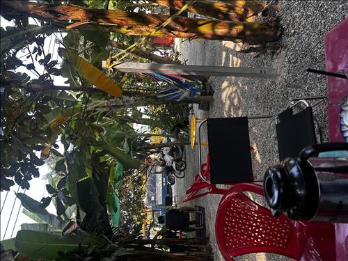 hẹn hò - Tìm và không tìm-Nam -Tuổi:42 - Độc thân-TP Hồ Chí Minh-Tìm bạn tâm sự