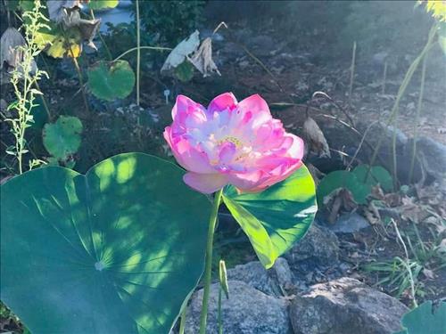 hẹn hò - Tìm và không tìm-Nam -Tuổi:35 - Độc thân-TP Hồ Chí Minh-Tìm bạn tâm sự