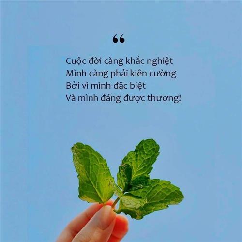 Đơn giản