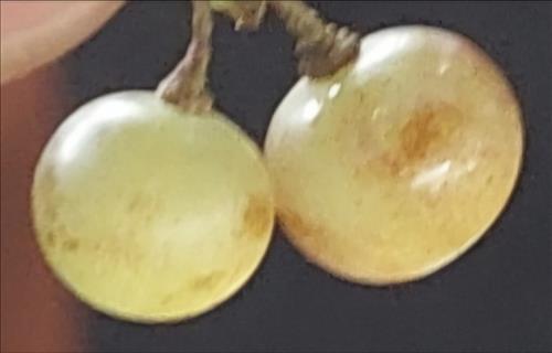 hẹn hò - Bình Minh-Nam -Tuổi:45 - Ly dị-TP Hồ Chí Minh-Người yêu lâu dài