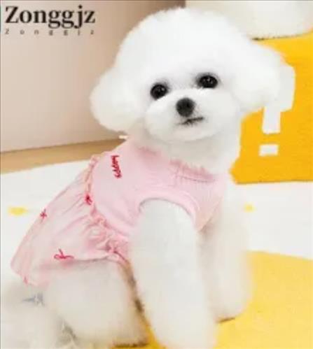 Tìm người thương 😍