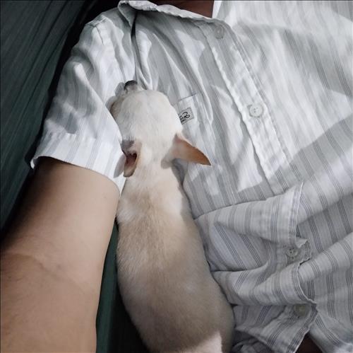 hẹn hò - K H Ó I-Nam -Tuổi:18 - Độc thân-TP Hồ Chí Minh-Người yêu lâu dài