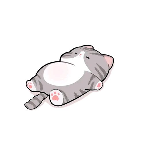 Mèo Lười 🐱🐱🐱