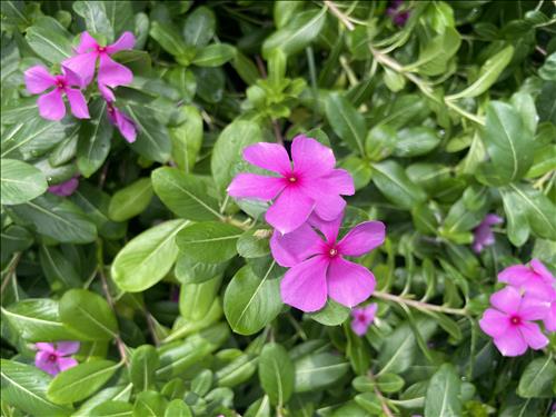 hẹn hò - NT-Les -Tuổi:32 - Độc thân-TP Hồ Chí Minh-Tìm bạn tâm sự
