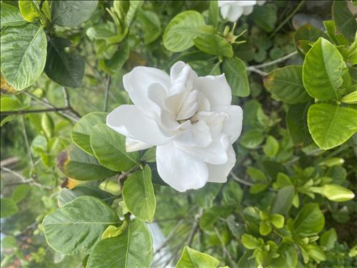 hẹn hò - Chill Chill-Lady -Age:35 - Married-Hà Nội-Friend - Best dating website, dating with vietnamese person, finding girlfriend, boyfriend.