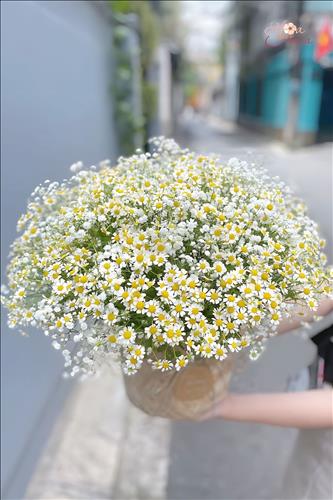 hẹn hò -  J-Lesbian -Age:35 - Single-TP Hồ Chí Minh-Lover - Best dating website, dating with vietnamese person, finding girlfriend, boyfriend.