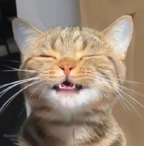 hẹn hò - Quỳnh Ngọc Nhi-Les -Tuổi:31 - Độc thân-Vĩnh Long-Tìm bạn bè mới