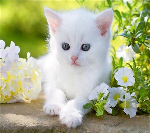 hẹn hò - Hoàng hôn diệu kỳ -Lady -Age:35 - Single-Khánh Hòa-Lover - Best dating website, dating with vietnamese person, finding girlfriend, boyfriend.
